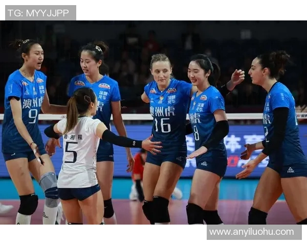 深圳排球队逆袭之路揭秘城市联赛背后的奋斗与荣耀